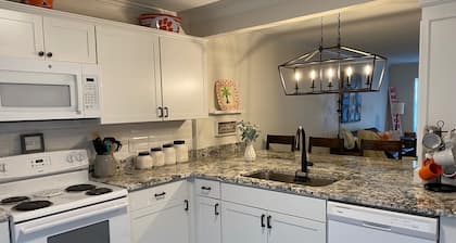 Adorable & recently renovated condo within walking distance to downtown Clemson.