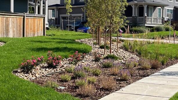 A residential area with houses, a well-maintained lawn, and a landscaped garden with various plants and flowers.