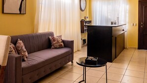 Un salon comprenant un canapé, une table basse et un coin cuisine avec un comptoir et des placards.