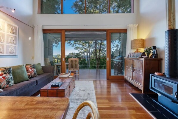 Smart TV, fireplace, DVD player, books