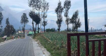 Bromo Semesta Guesthouse