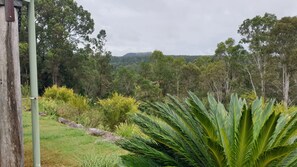 Property grounds - "Buckley's Chance", Sky Cabin. (Kin Kin)