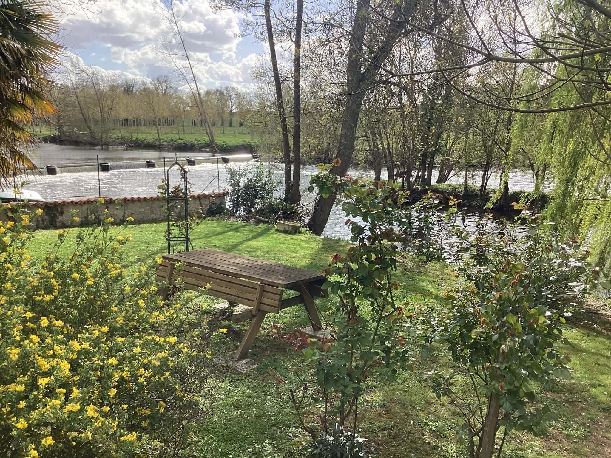 Un banco en un jardín con un estanque y árboles.