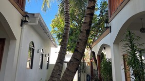 A covered walkway with palm trees, white walls, and wooden railings. - Ahiva Village (Fulhadhoo)