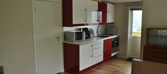 Apartment in center of Kviteseid