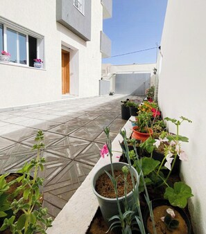 A narrow outdoor corridor with potted plants and a tiled floor.