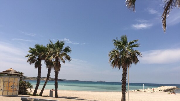 Una playa con palmeras, un banco y un cartel con el número 6.