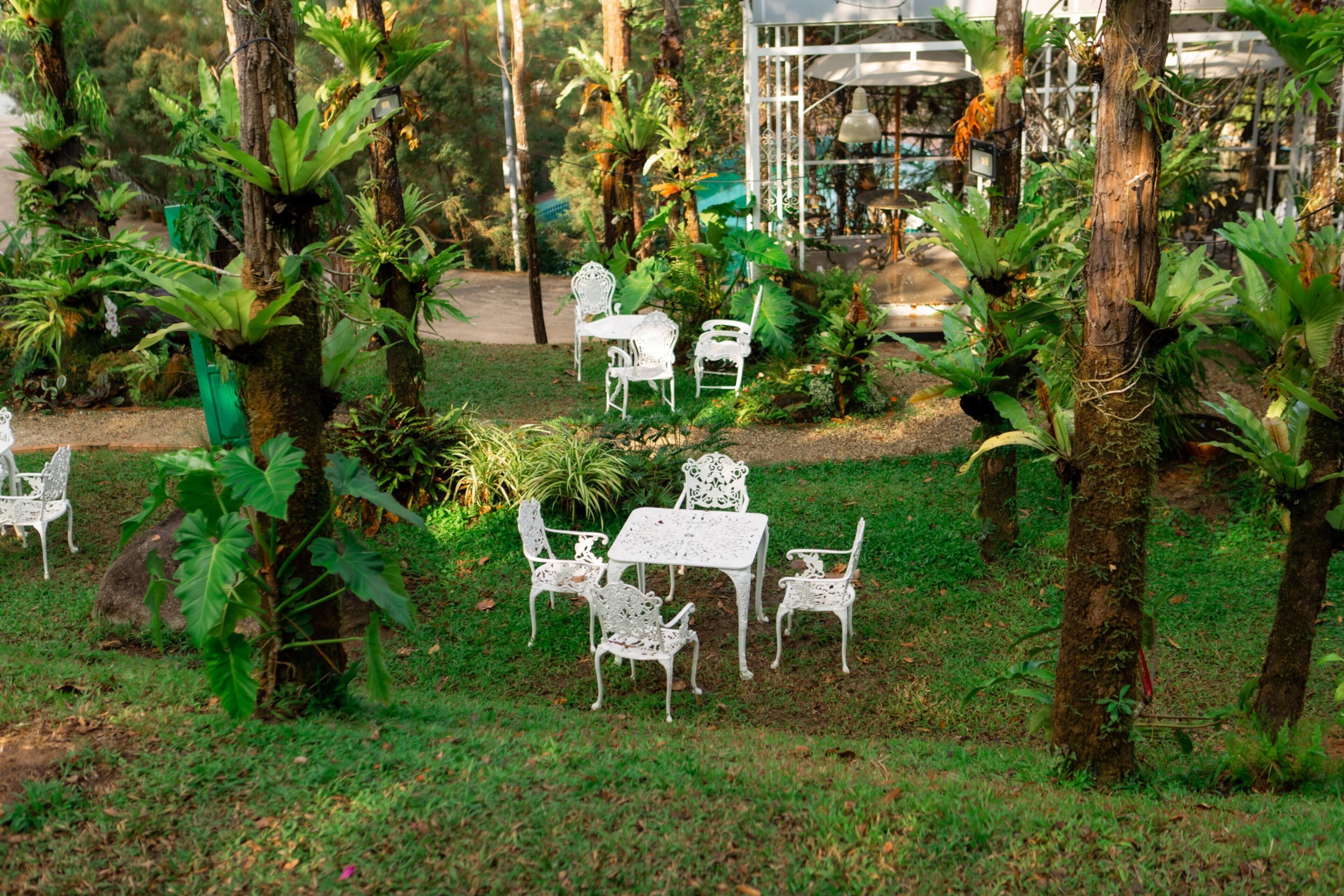 A garden with white metal furniture and tropical plants.