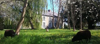 6 persons with privative garden, heated pool