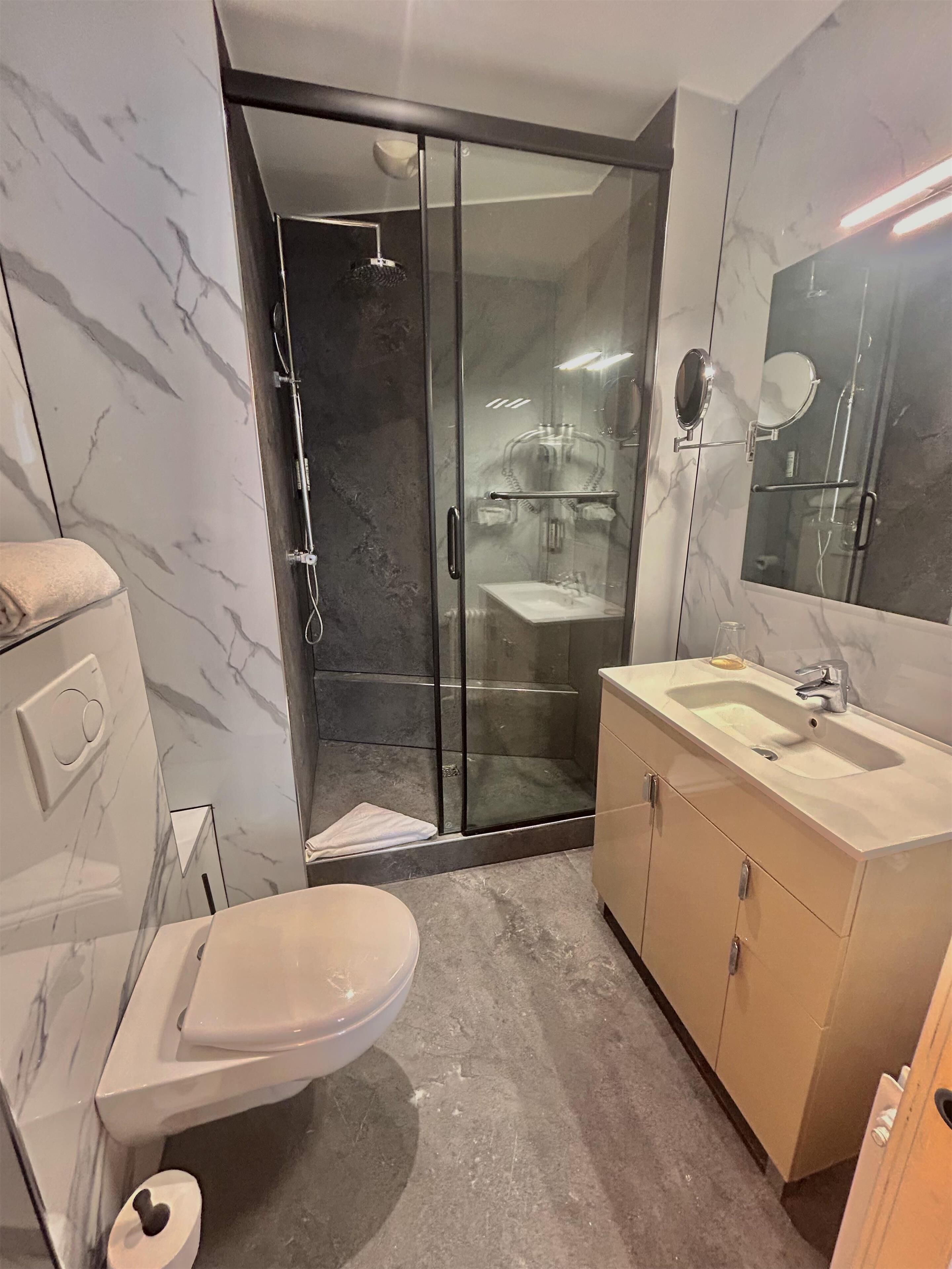 A modern bathroom with a glass-enclosed shower, a toilet, and a vanity with a mirror.