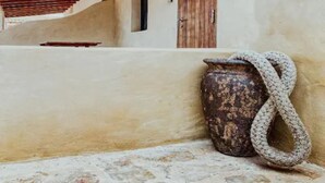 Detalle exterior