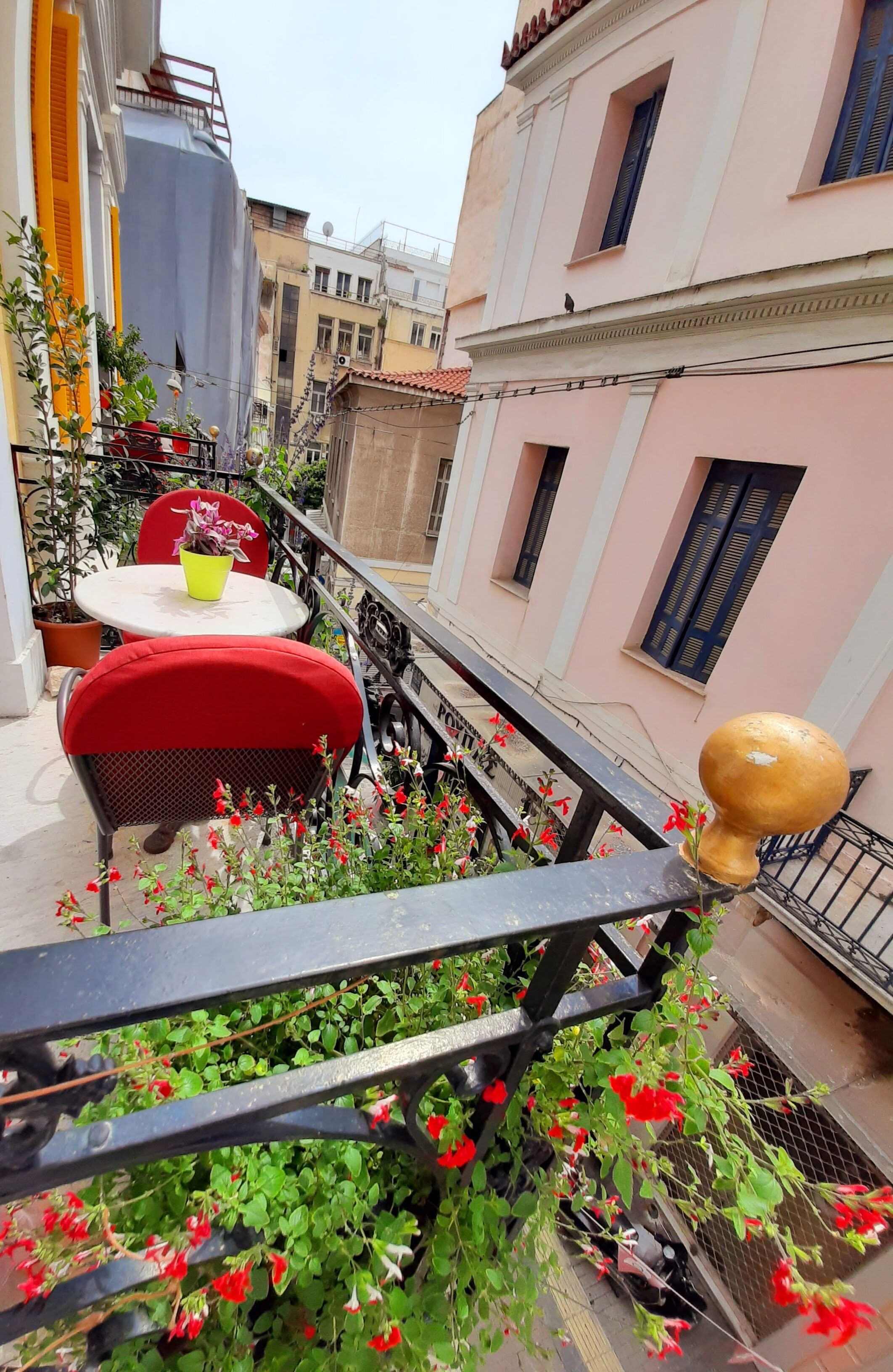 Foto - The monumental house