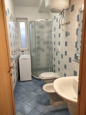 Shower, hair dryer, bidet, towels