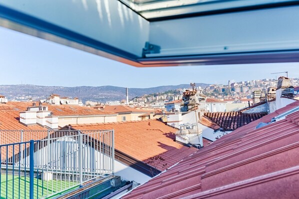 A rooftop view of a cityscape with buildings, a distant mountain, and a clear sky.