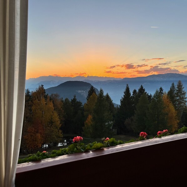 Vista desde la habitación