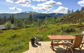 Outdoor dining - 3 bedroom gorgeous home in Bykle (Bykle)