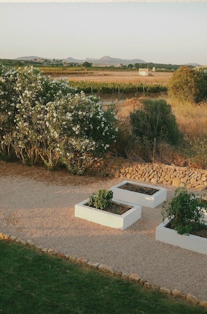 Terrace/patio - Vino Resort Son Amaret (Manacor)