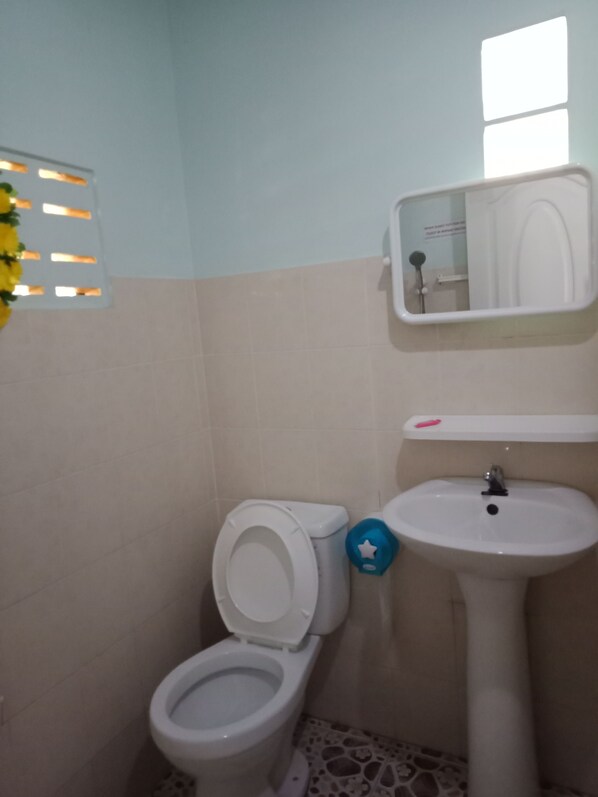 A bathroom with a toilet, sink, and mirror.