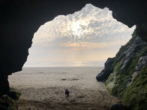 Cosy cottage, peaceful setting 5 mins to beautiful sandy beach & fabulous walks!