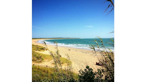 A beach with a clear sky, sandy shore, and vegetation in the foreground. - Magnifique Villa St Denis D'oléron (Saint-Denis-d'Oléron)