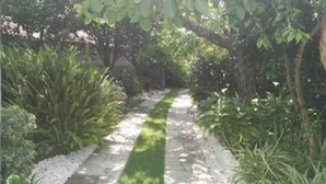 A garden pathway with a variety of plants and trees.