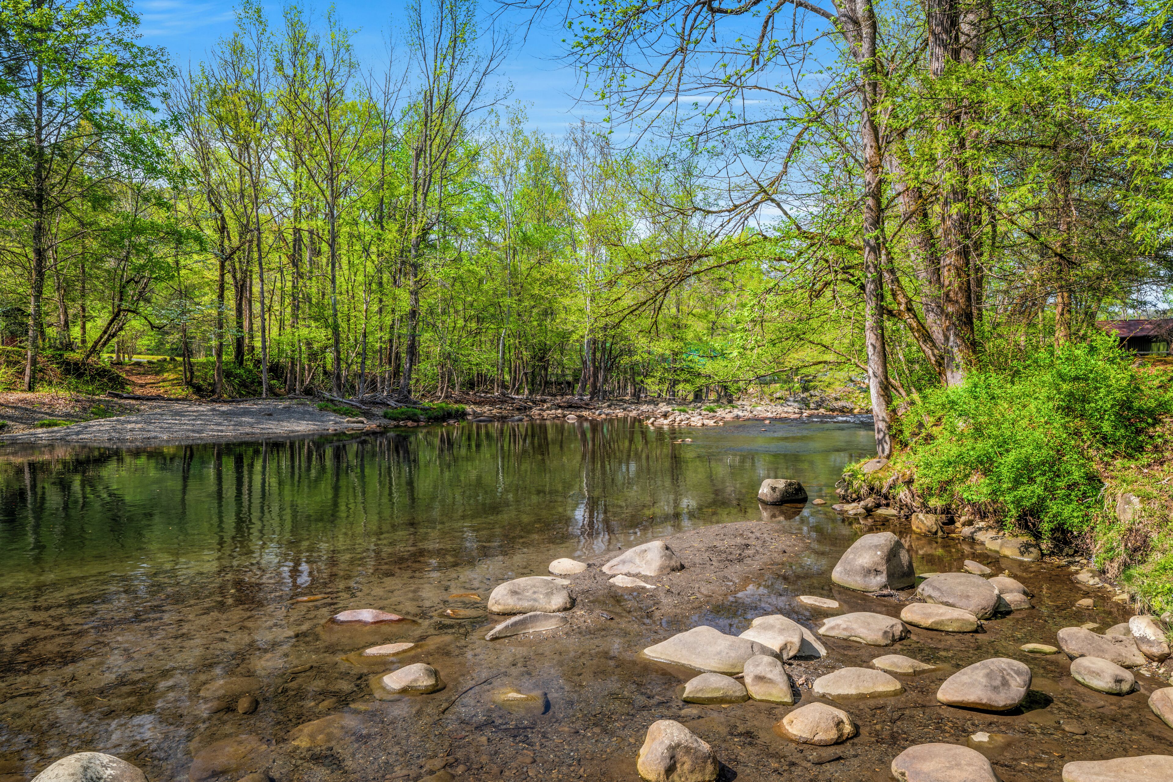 A clear river with rocks, surrounded by trees and a clear sky.