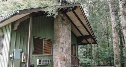 Riverside Cabin minutes to Downtown Gatlinburg