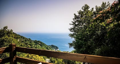 Amphitriti House In Pelion