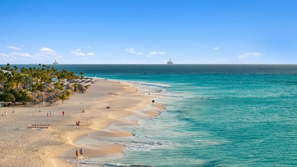 Una spiaggia con vista libera sull'oceano, un molo all'orizzonte e una filare di palme.