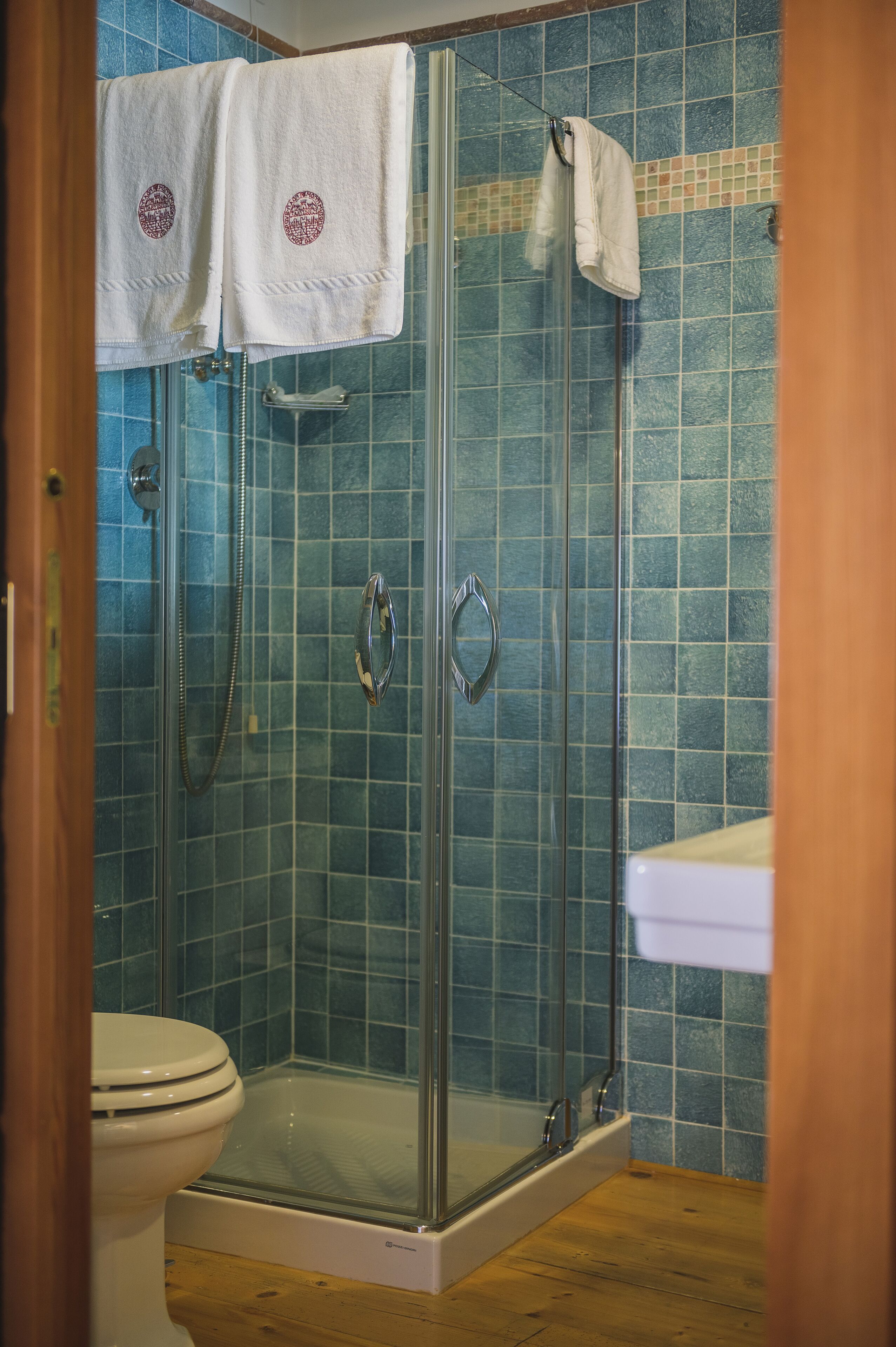 Cabina de ducha con paredes de vidrio, ducha de mano y puerta de cristal.