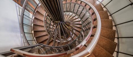 A spiral staircase with a metal railing and wooden steps.