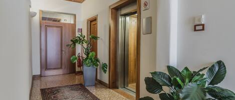 A hallway with a wooden ceiling, a patterned rug, and potted plants.