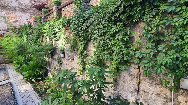 A courtyard with a brick wall, potted plants, and a pathway. - UP accommodation (Belgrade)