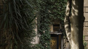 Un edificio con una puerta negra, rodeado de abundante follaje y un tronco de árbol.