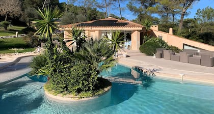 Villa in Cannes-Mougins, 16 bis 20 Personen, Luxus und viel Platz