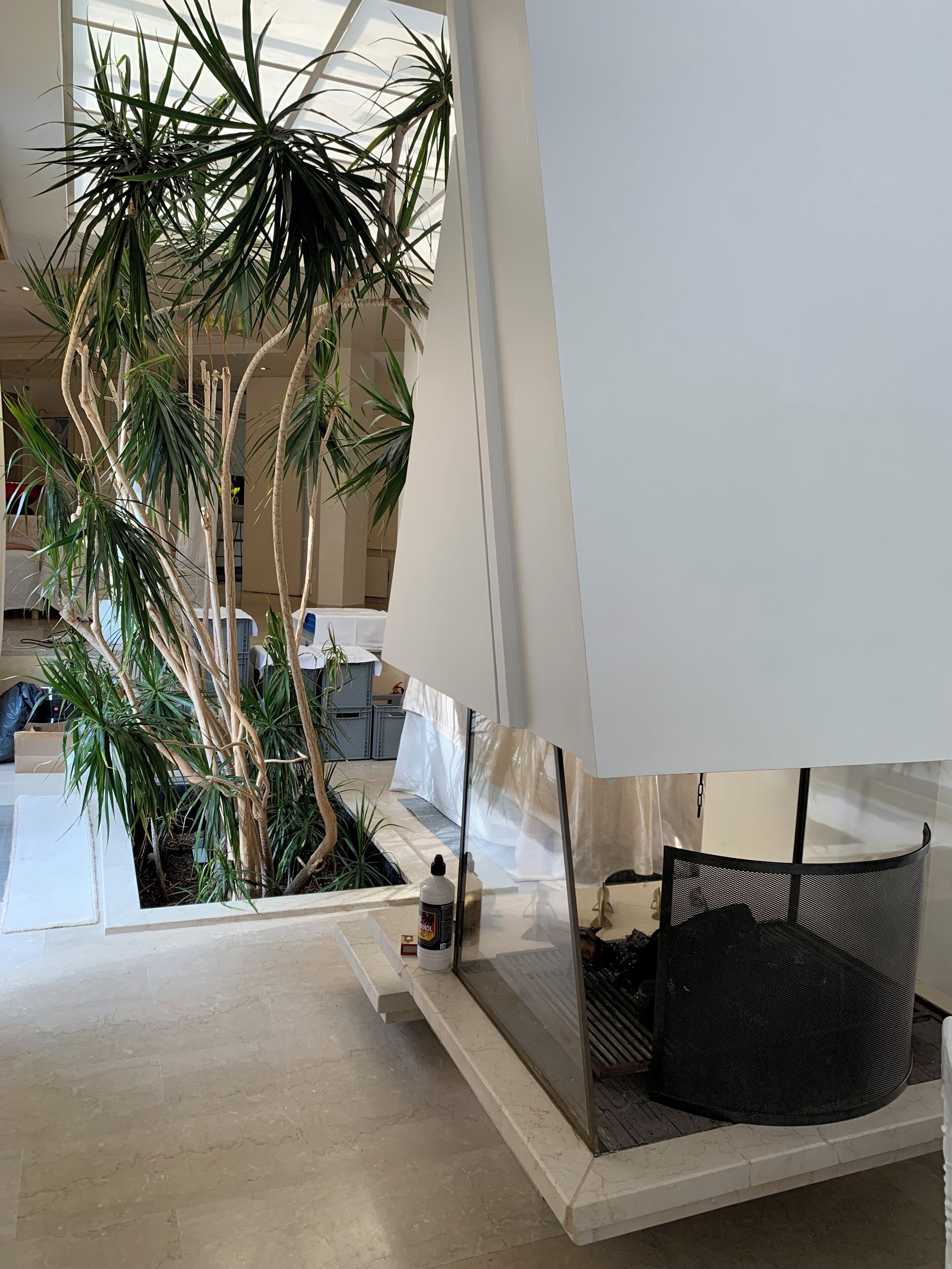 Een moderne woonkamer met een grote potplant, een witte bank en een zwarte mesh-stoel.