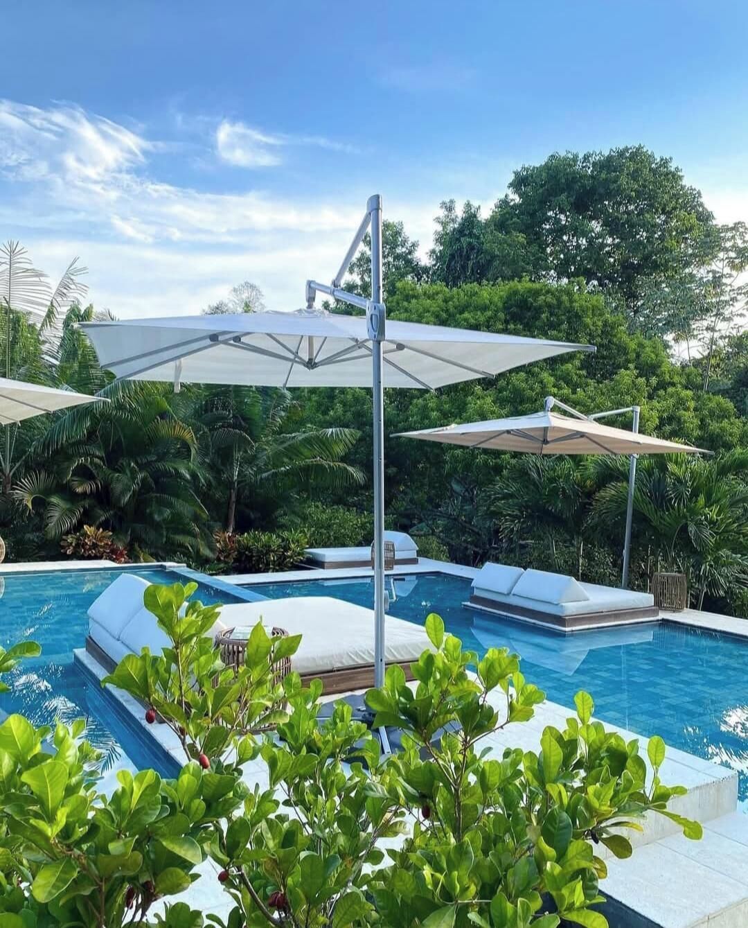 A swimming pool with lounge chairs and umbrellas, surrounded by lush greenery.