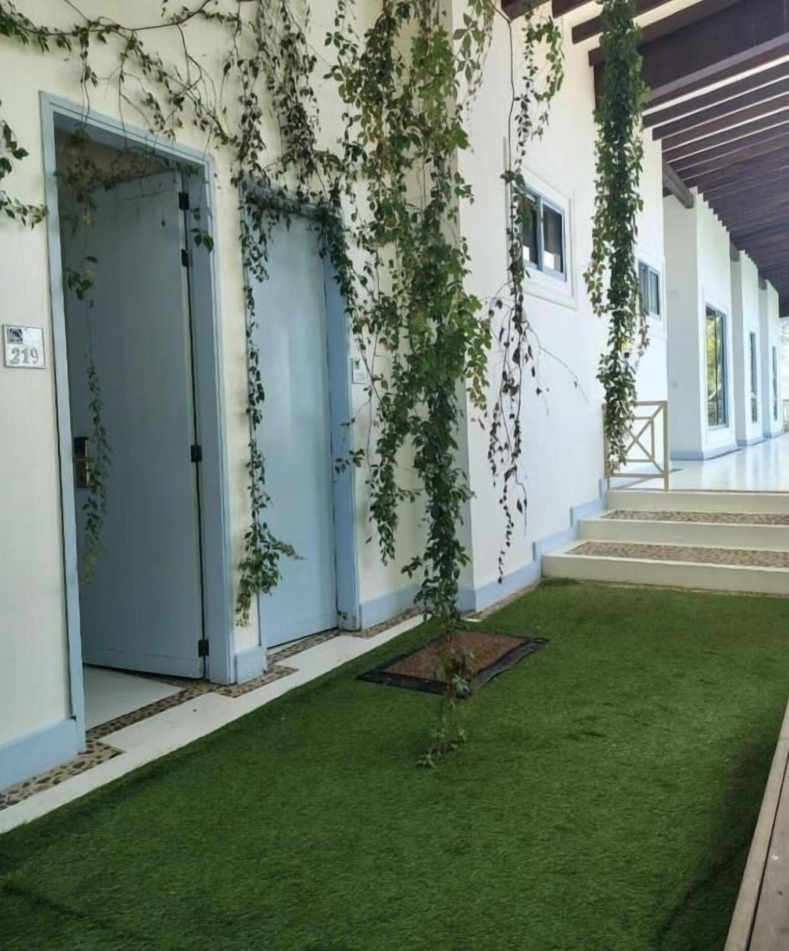 A building with a covered walkway, a small grassy area, and a door labeled '210'.