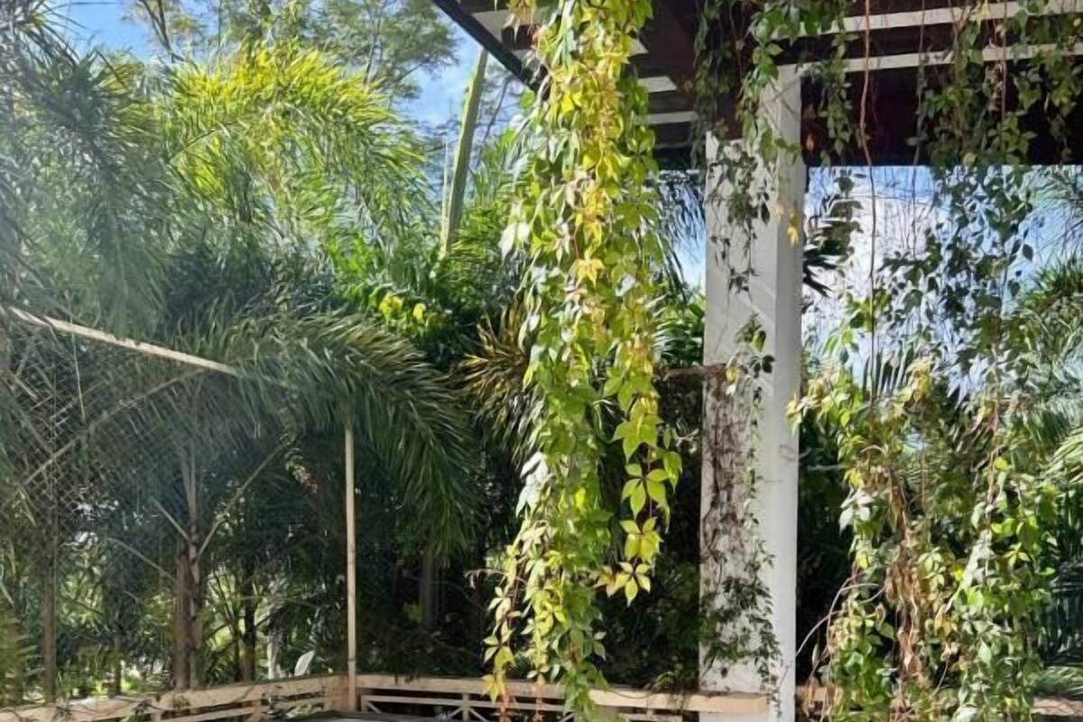 A hot tub with a wooden deck, surrounded by lush greenery and a pergola structure.