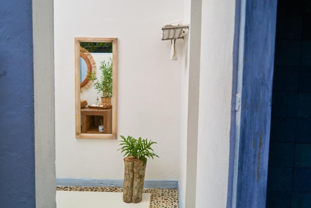 Un pasillo con un espejo, una planta en maceta y suelo de baldosas.
