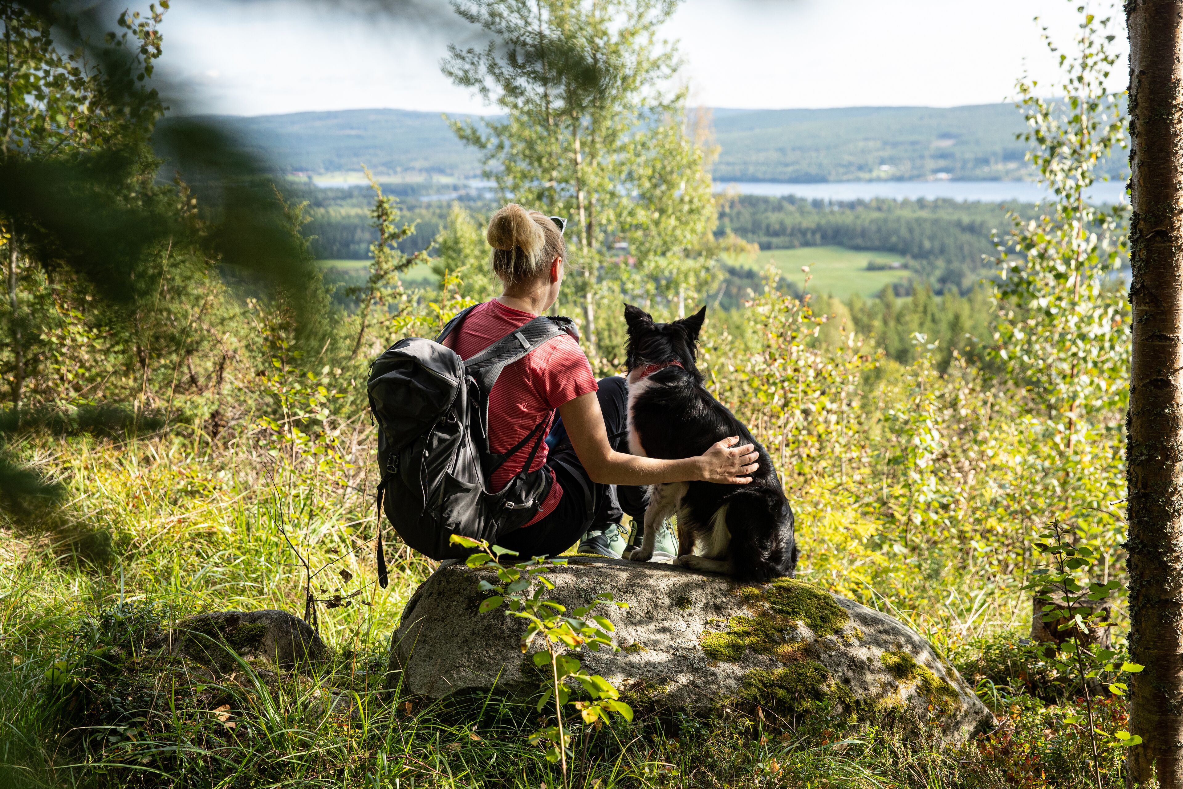 Una persona sentada sobre una roca con un perro, rodeada de vegetación y una vista de un lago y colinas.