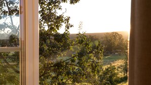 Vista a través de una ventana, con un árbol en primer plano y un paisaje al fondo.