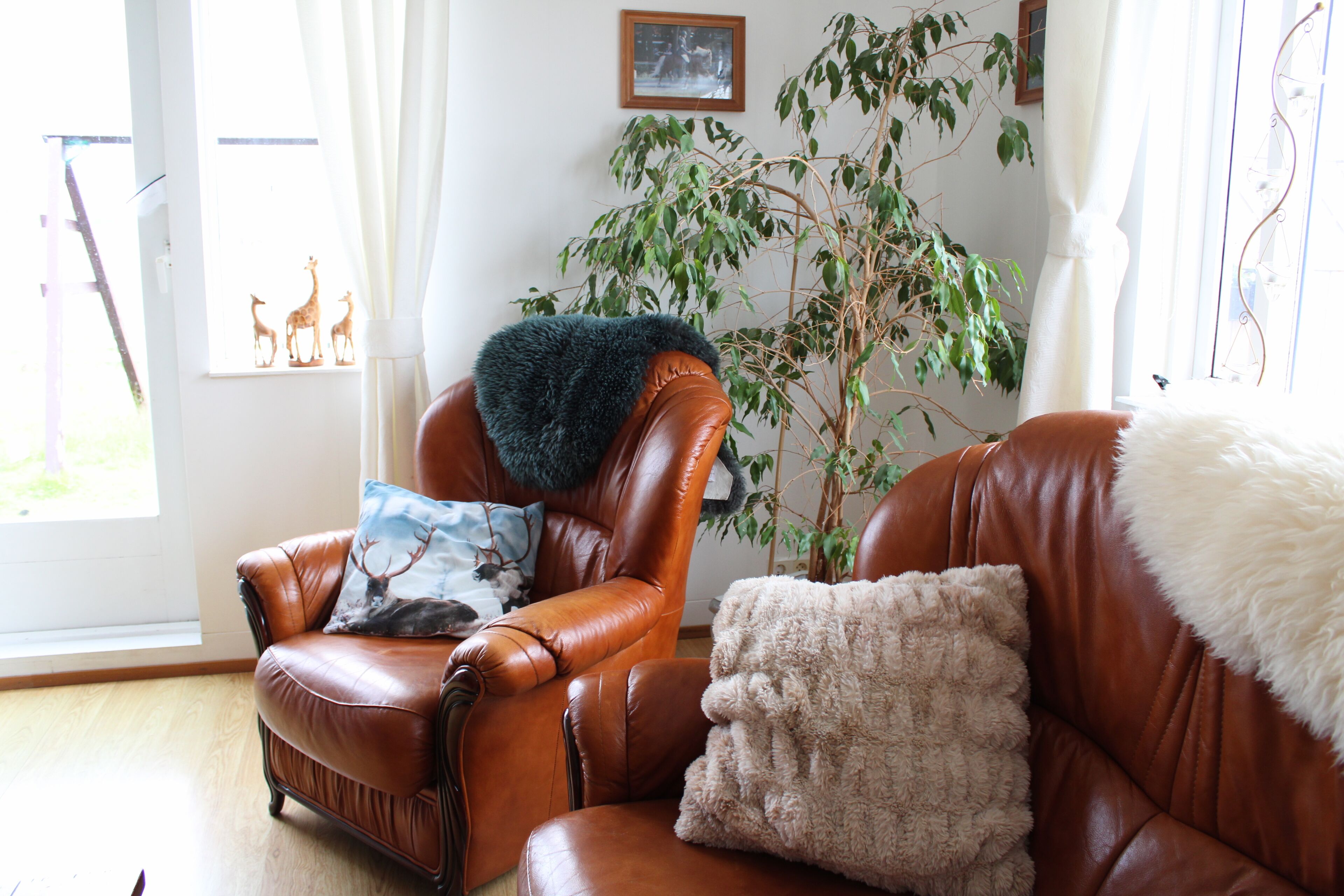 Een 48-inch flatscreentelevisie met digitale zenders en televisie