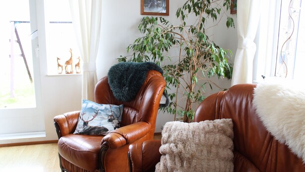 A leather armchair with a furry throw, a fluffy pillow, and a decorative pillow with a deer design. - Stóri-Bakki Guesthouse with hot tub (Egilsstaðir)