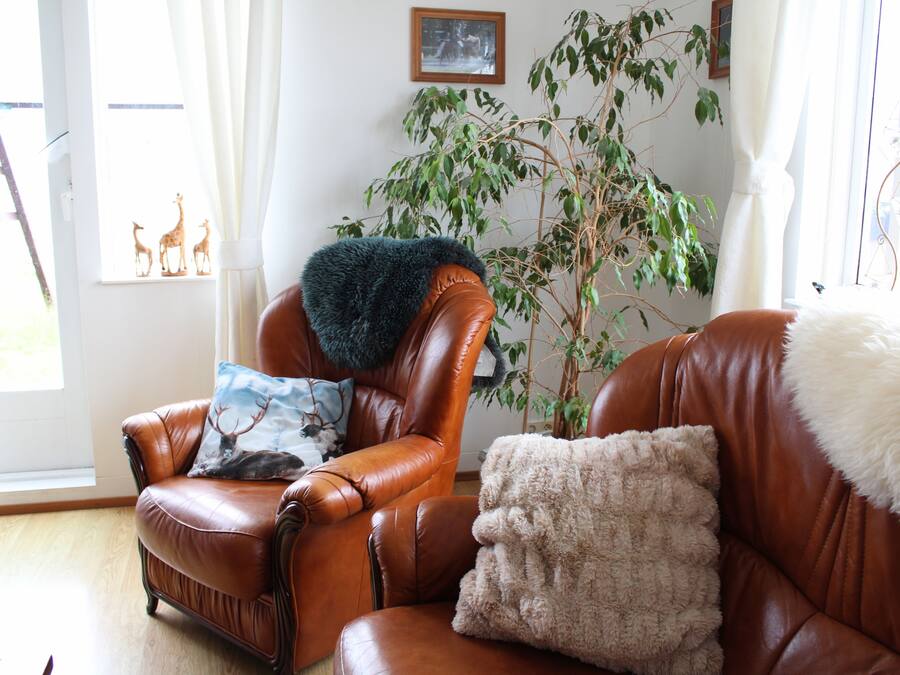 Televisión de pantalla plana de 48 pulgadas con canales digitales