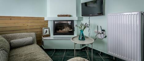 A cozy room with a sofa, a small table with a vase, a fireplace, a TV, and a radiator.