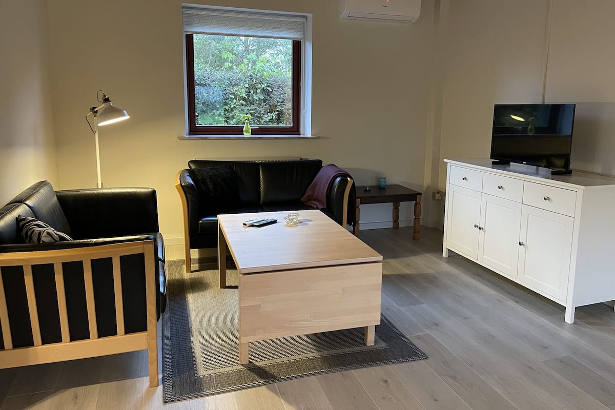 A modern living room with a black leather sofa, a wooden coffee table, a white cabinet, and a television on top.