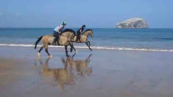 Horses ride along the shoreline, their reflections visible on the wet sand.
