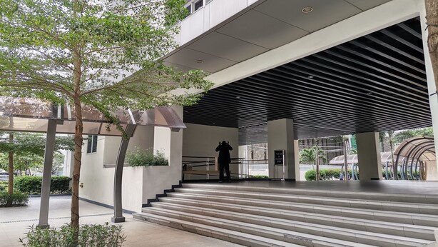 Entrada moderna de un edificio con una escalera cubierta, un letrero para recogida y entrega, y un árbol en primer plano.