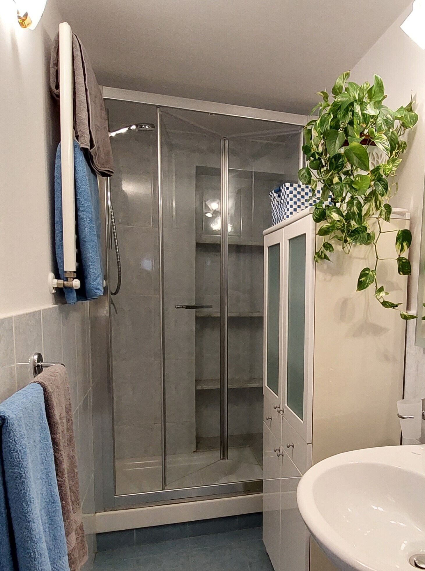 A modern bathroom with a glass-enclosed shower, a white sink, and a potted plant.